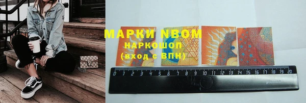 стафф Алексин