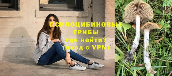 крисы Абинск