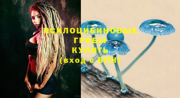 крисы Абинск