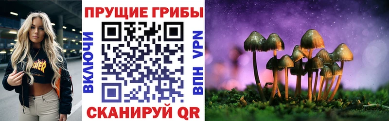 Псилоцибиновые грибы мухоморы  Калининград 
